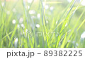 風に揺れる葉 89382225