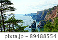 從岩手縣田之畑村北山崎第二展望台 89488554