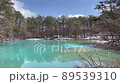 Aonuma, one of the five-colored swamps with beautiful bright light blue where the wind blows and ripples spread 89539310
