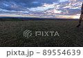 man playing with his dog at sunset 89554639
