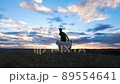 man playing with his dog at sunset 89554641