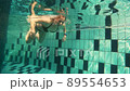 woman swimming underwater in pool 89554653