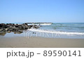Kosagawa Beach 89590141