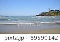Kosagawa Beach 89590142