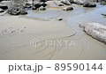 Kosagawa Beach 89590144