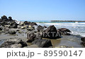 Kosagawa Beach 89590147