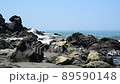 Kosagawa Beach 89590148