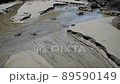 Kosagawa Beach 89590149