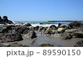 Kosagawa Beach 89590150
