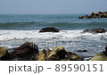 Kosagawa Beach 89590151