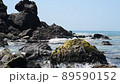 Kosagawa Beach 89590152