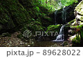 Waterfall of the main shrine (Hachioji castle ruins) 89628022