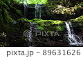 Waterfall of the main shrine (Hachioji castle ruins) 89631626