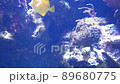 Tropical underwater 89680775