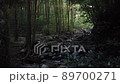 Zen Buddhist Temple Japan 89700271