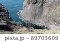 Shiretoko Peninsula Sea Spring Chikapoi Cape 89703609