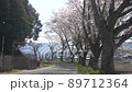Kotonami Pottery Doki Square Sakurahana Fubuki 1 [香川縣中田區萬能町言波] 89712364