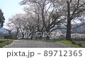 言波陶器 Doki Square Sakurahana Fubuki 2 [香川縣中田區萬能町言波] 89712365