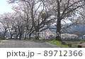 言波陶器 Doki Square Sakurahana Fubuki 3 [香川縣中田區萬能町言波] 89712366