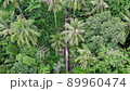 Beautiful tropical island with beach and coconut palm tree, freedom beach phuket 89960474