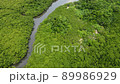 [Aerial view] Ishigaki Island Fukitsugawa Mangrove community 89986929