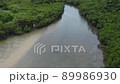 [Aerial view] Ishigaki Island Fukitsugawa Mangrove community 89986930