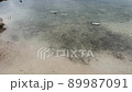 [Aerial view] Ishigaki Island Sukuji Beach 89987091