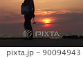 Dog walking on the pier at sunset 90094943