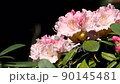 Ishikusuhana Fix 59.94p swaying in the wind 90145481