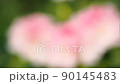 Ishikusuhana bird's-eye view slow motion 0.5x speed & focus inversion swaying in the wind 90145483