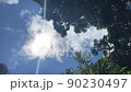 大空を見上げて雲の動きを観察 90230497