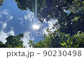 大空を見上げて雲の動きを観察 90230498