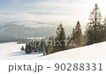 Sunrise at winter mountain forest aerial. Frosty nobody nature landscape. Alpine snow covered trees at morning fog. Breathtaking natural beauty. Sun rise pink light. Pine woodland. 90288331