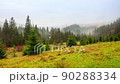 Ukraine, Carpathians. Time lapse of morning fog in the autumn mountains. Landscape with snowy mountains and running mist. 90288334
