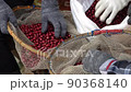 Red cherries coffee beans wet process 90368140