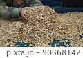 Red cherries coffee beans wet process 90368142