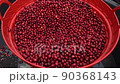 Red cherries coffee beans wet process 90368143
