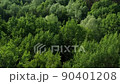 Aerial of flying over a beautiful green forest in a rural landscape. Drone shot flying over tree tops, Nature background. Aerial flyover view shot of summer treetops. 90401208
