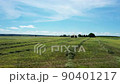 Aerial shot of harvester loading off mown plants on trailers. Modern harvester loading off mown plants on tractor trailers. Agricultural machines working in farmland during harvesting 90401217