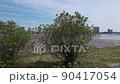 Lake Hamana Bentenjima Akatorii # 1 90417054