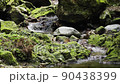 岩場を蛇行しながら流れる川 90438399