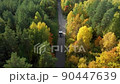 One Semi Truck without trailer traveling alone on dense flat forest asphalt straight empty road, highway top down view follow vehicle aerial footage. 90447639