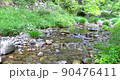 新緑と小川の流れ 90476411