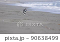 一隻狗拿著玩具沿著海灘跑 90638499