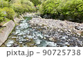 初夏の渓流 90725738