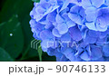 レインドロップと紫陽花クローズアップ 90746133