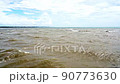 Muddy wave on the outlet of river. 90773630