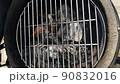 Fire on the grill grate, smoke is coming, top view 90832016