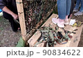 Womens hands weaving camouflage net for army, volunteers make camouflage protection for military needs, selective focus 90834622