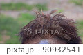 A close up panning of a Bactrian camel face. 90932541